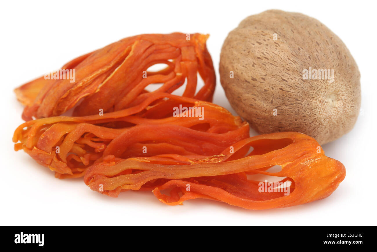 Mace or Javitri Spice with nutmeg over white background Stock Photo Alamy