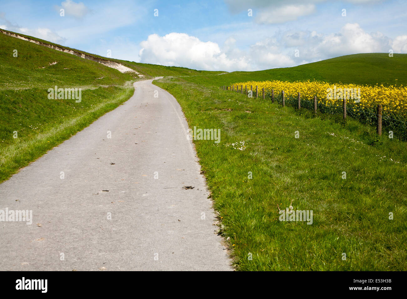 Small narrow lane on chalk downland scarp slope, Allington Down, Wiltshire, England Stock Photo