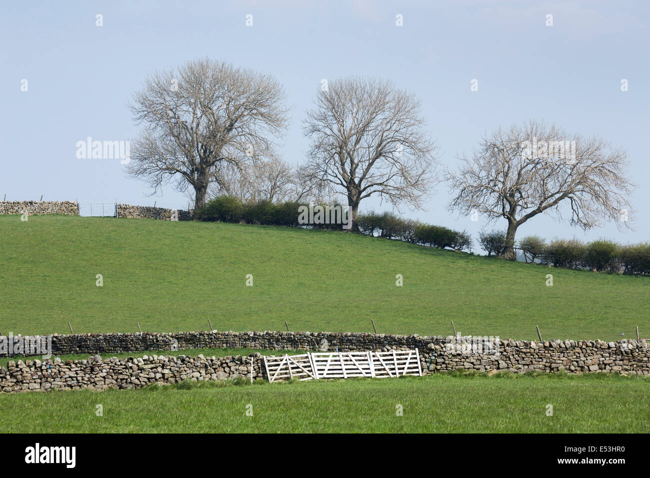 Bramley Grange near Ilton, North Yorkshire Stock Photo Alamy
