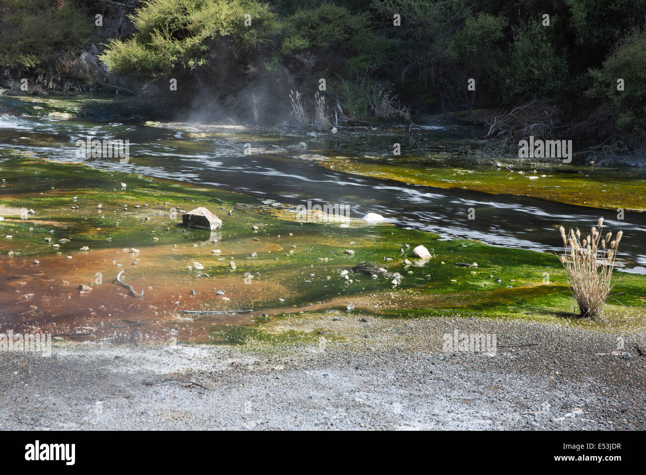 Geothermal river in waimangu hi-res stock photography and images - Alamy