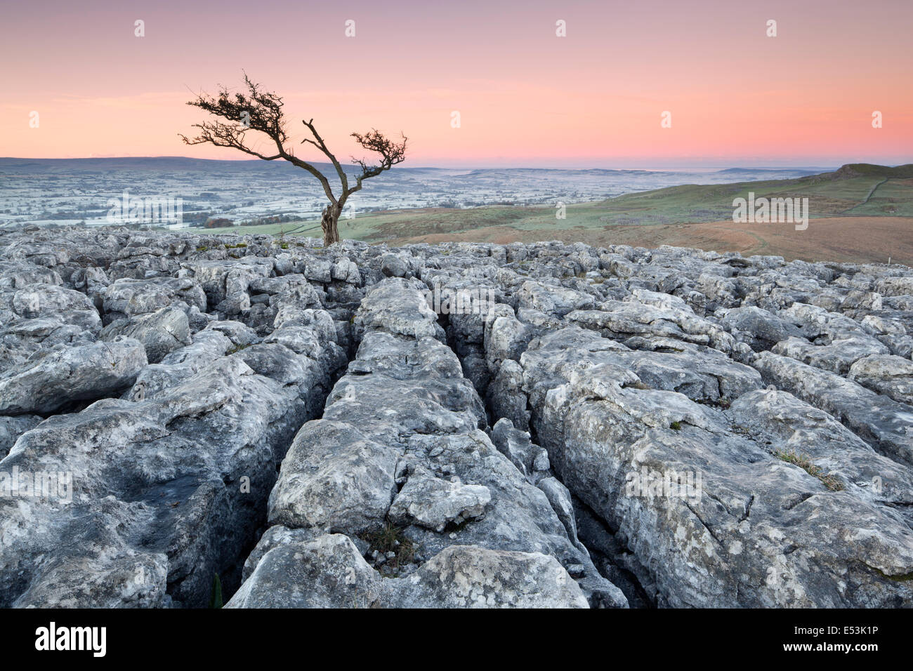 Dales limestone pavement High Resolution Stock Photography and Images ...