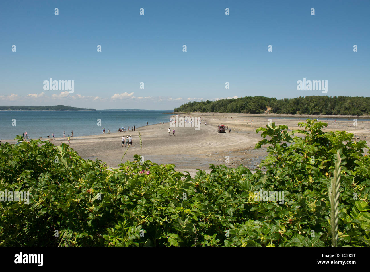 Maine, Bar Harbor. Bar Island, accessed only at low tide by a natural