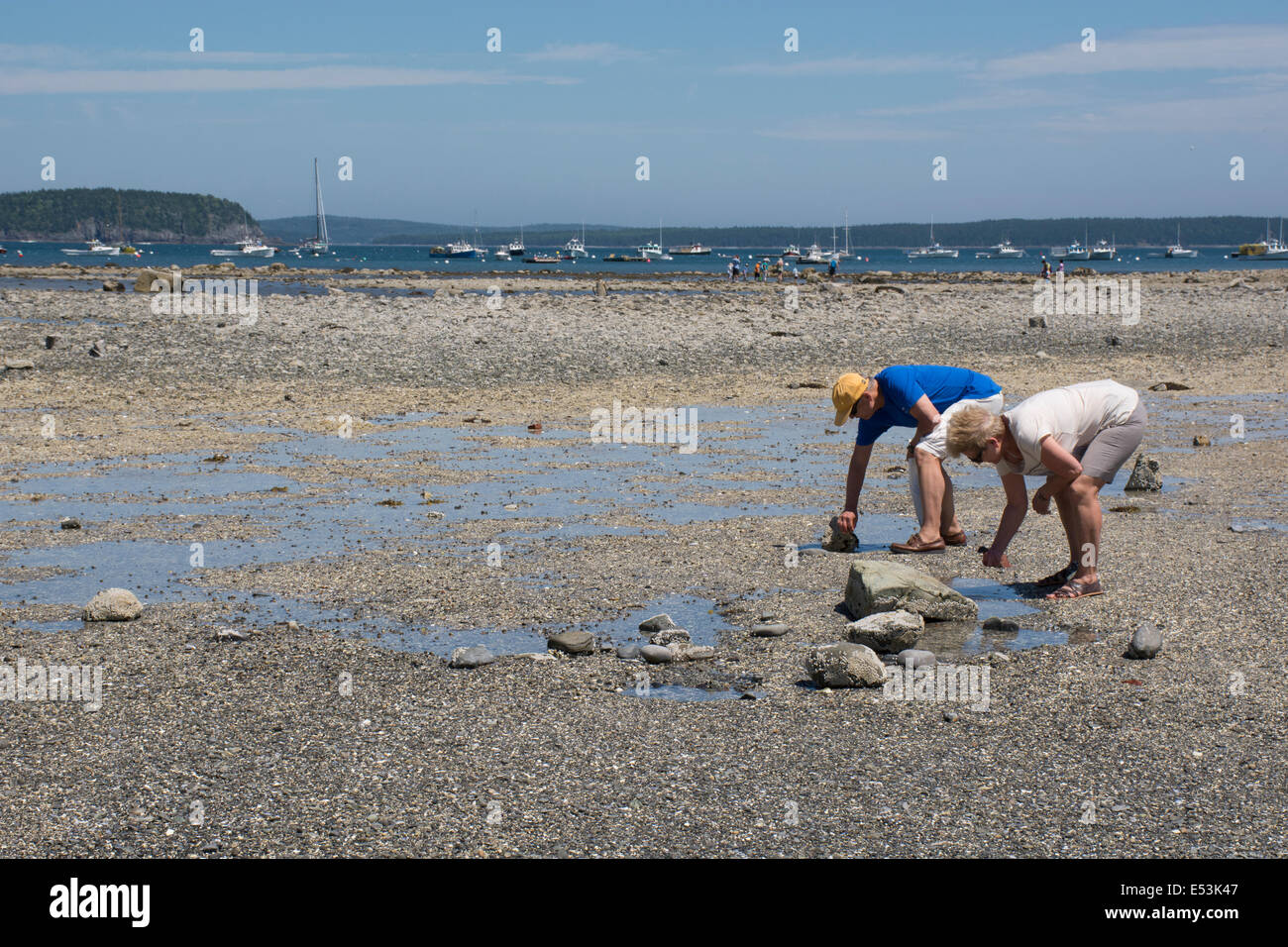 Maine, Bar Harbor. Bar Island, accessed only at low tide by a natural