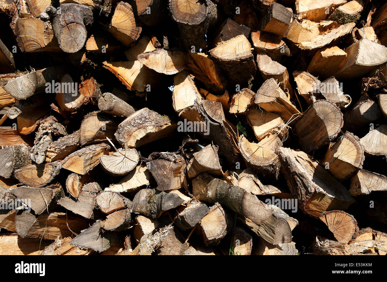 Close up of old firewood outside with sunlight Stock Photo