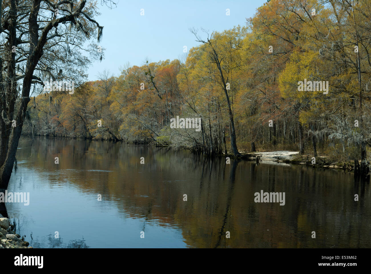 Lumber River at Fair Bluff, North Carolina Stock Photo Alamy