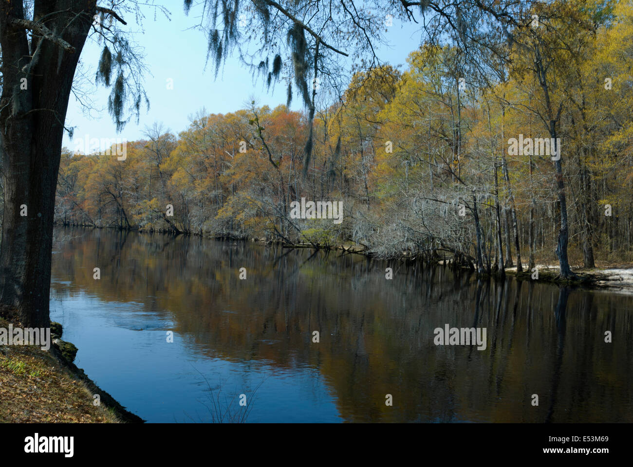 Lumber River at Fair Bluff, North Carolina Stock Photo Alamy