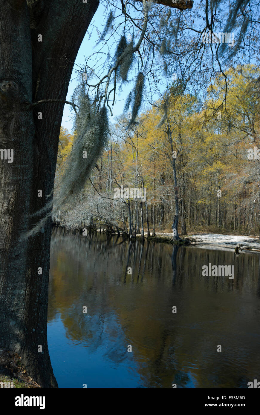 Lumber River at Fair Bluff, North Carolina Stock Photo Alamy