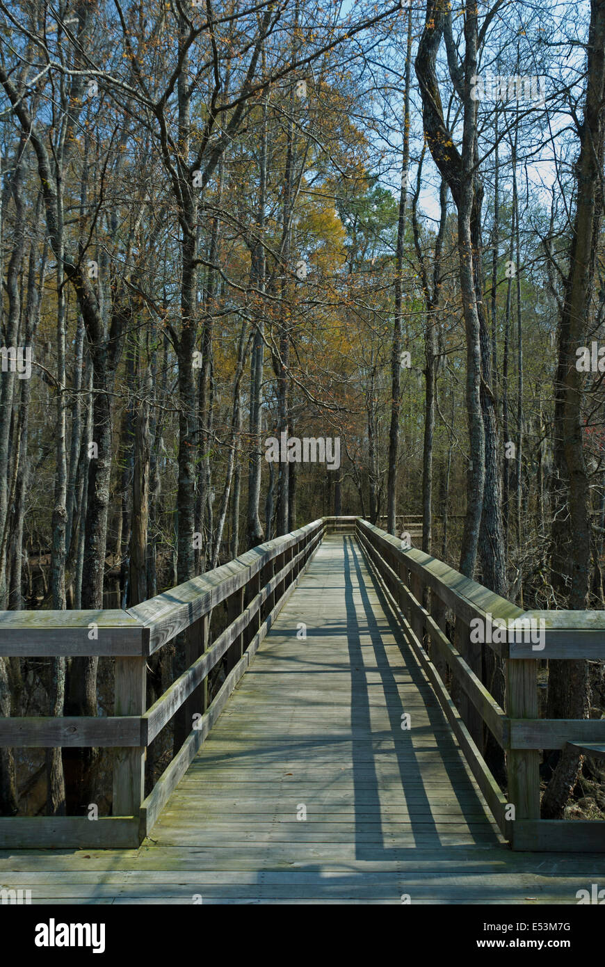 Lumber River at Fair Bluff, North Carolina Stock Photo Alamy