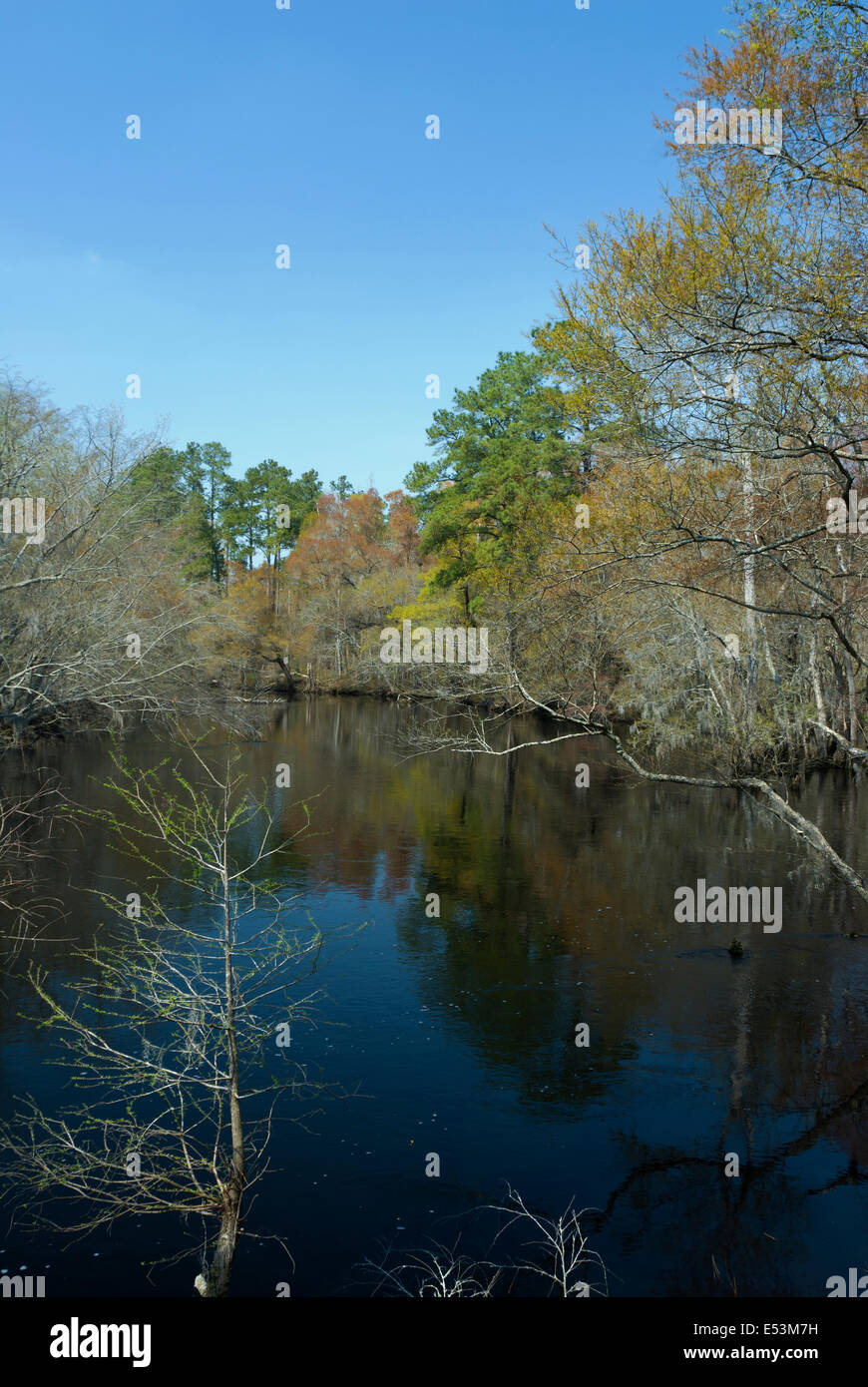 Lumber River at Fair Bluff, North Carolina Stock Photo Alamy