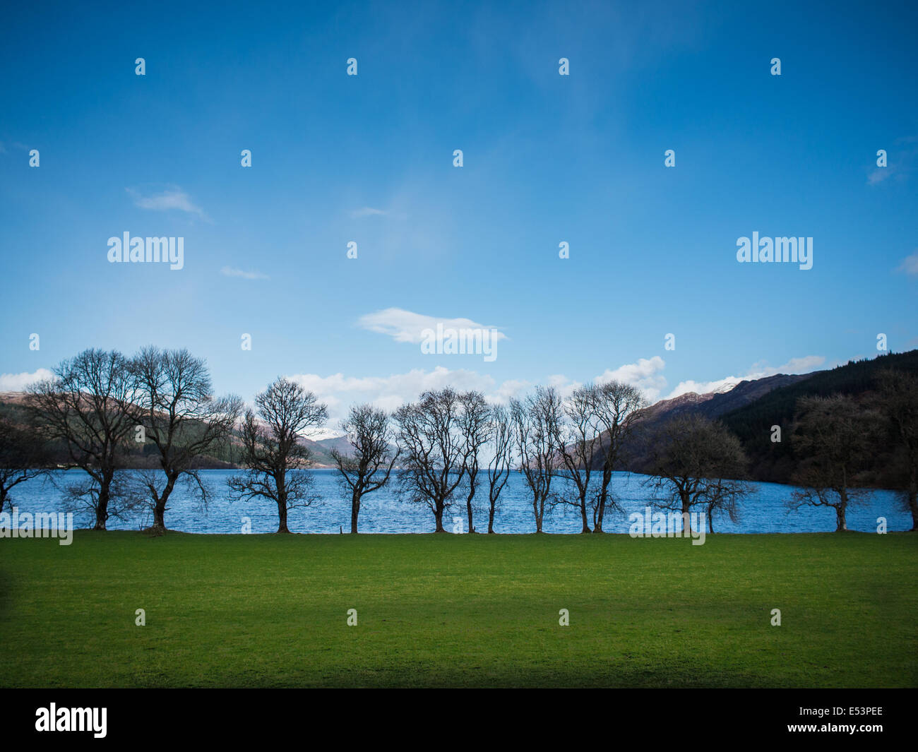Horizon line trees hi-res stock photography and images - Alamy