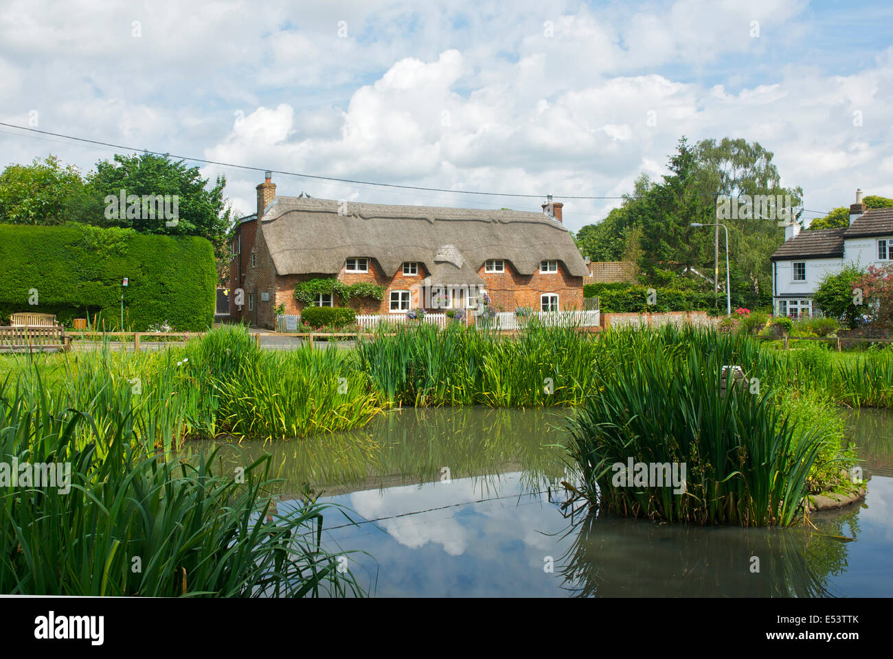 Thatched cottage and duck pond in the village of Oakley, Hampshire