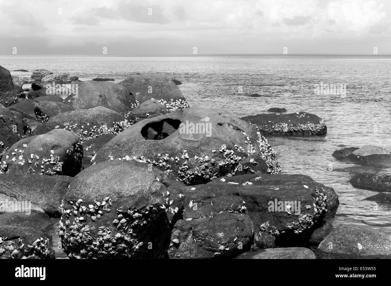 Beautiful view rocky beach in Black and White Stock Photos & Images - Alamy