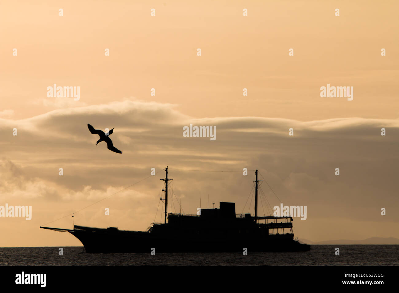Frigatebird and ship at sundown. Stock Photo