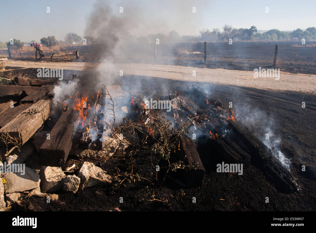 Patterson, CA, USA. 12th July, 2014. A quick moving river bottom fire the the response from several west Stanislaus County fire departments. With dry conditions and a breeze the fire jumped to 50 acres in a matter of a half hour. © Marty Bicek/ZUMA Wire/Alamy Live News Stock Photo