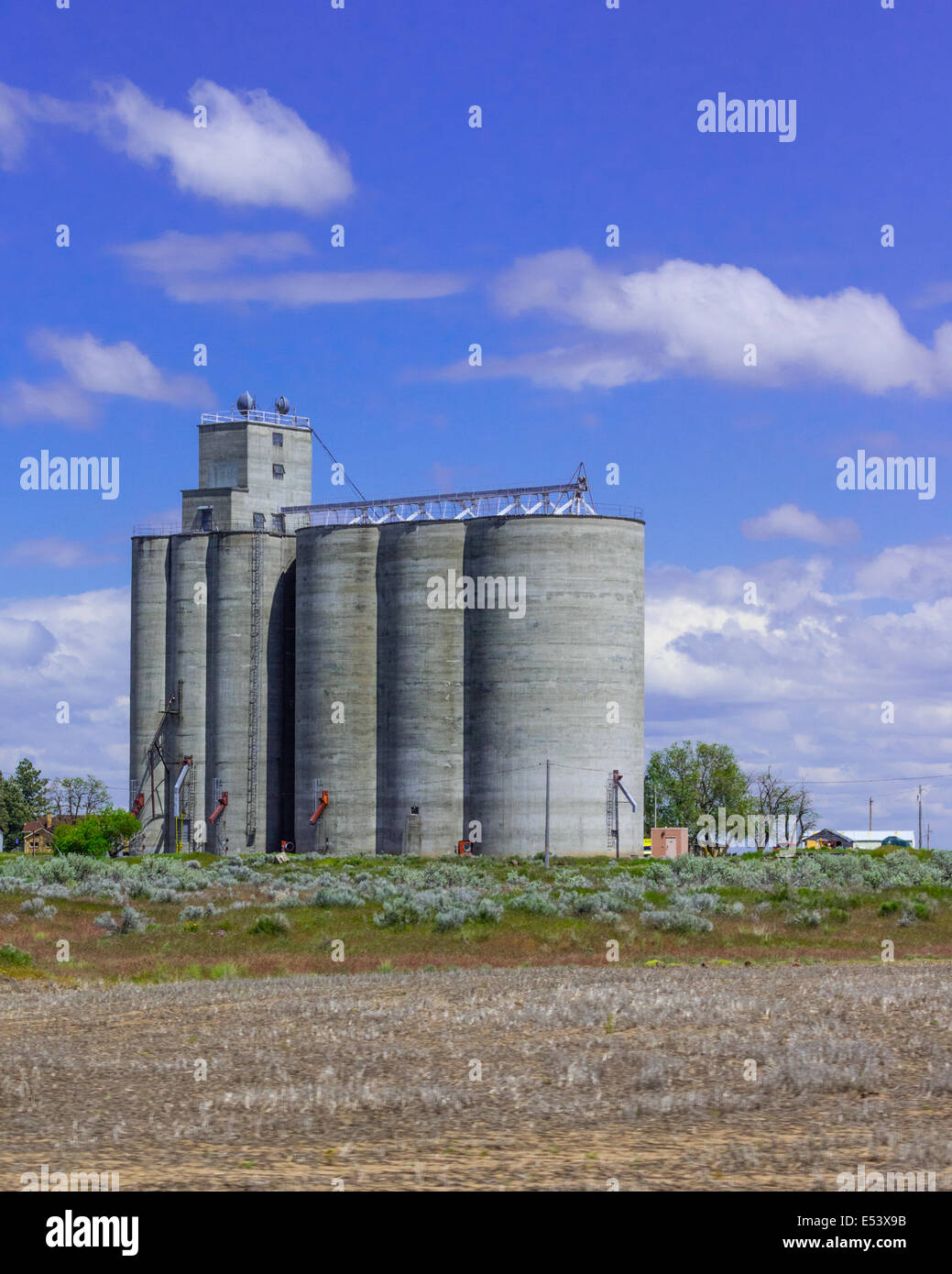 Concrete grain storage facility with silos Stock Photo Alamy