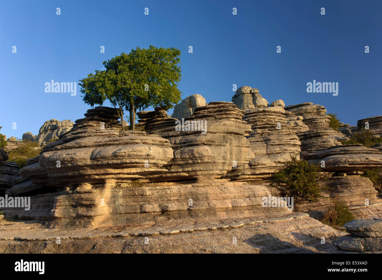 Torcal de Antequera Natural Park, Antequera, Malaga-province, Region of Andalusia, Spain, Europe Stock Photo