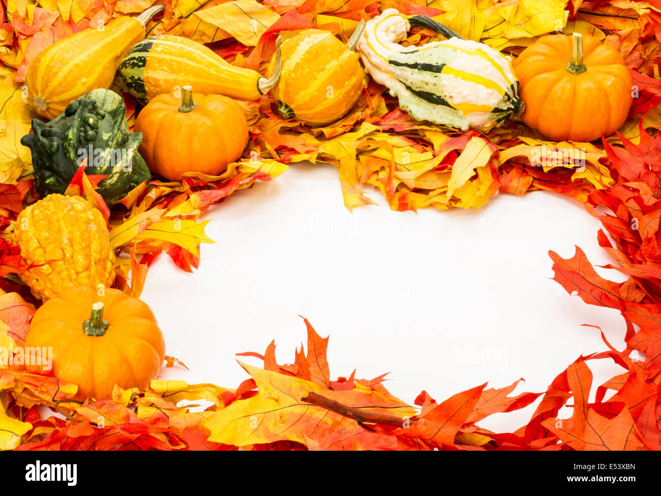 Fall border of colorful leaves and pumpkins with gourds Stock Photo - Alamy