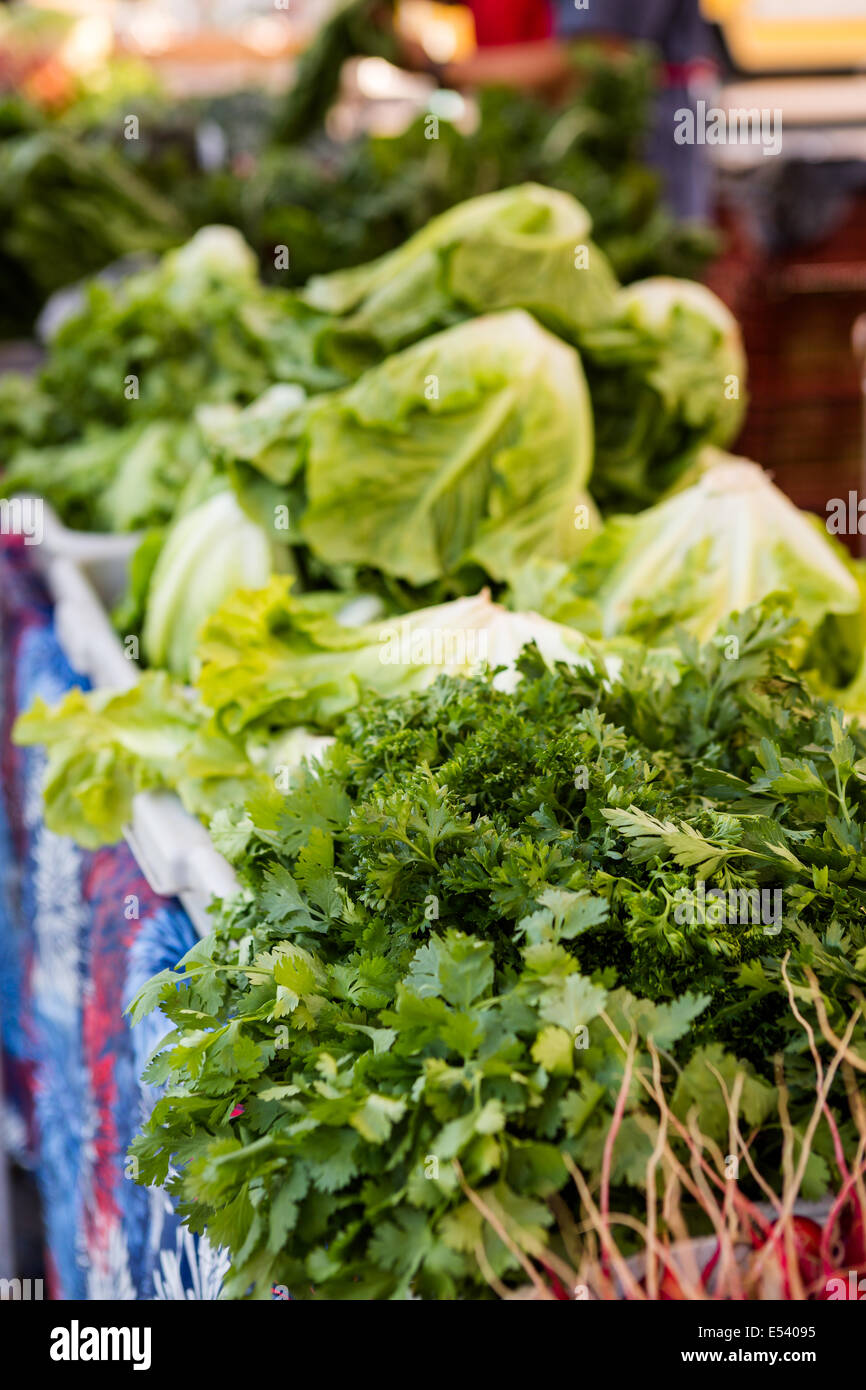 Fresh organic produce on sale at the local farmers market Stock Photo ...