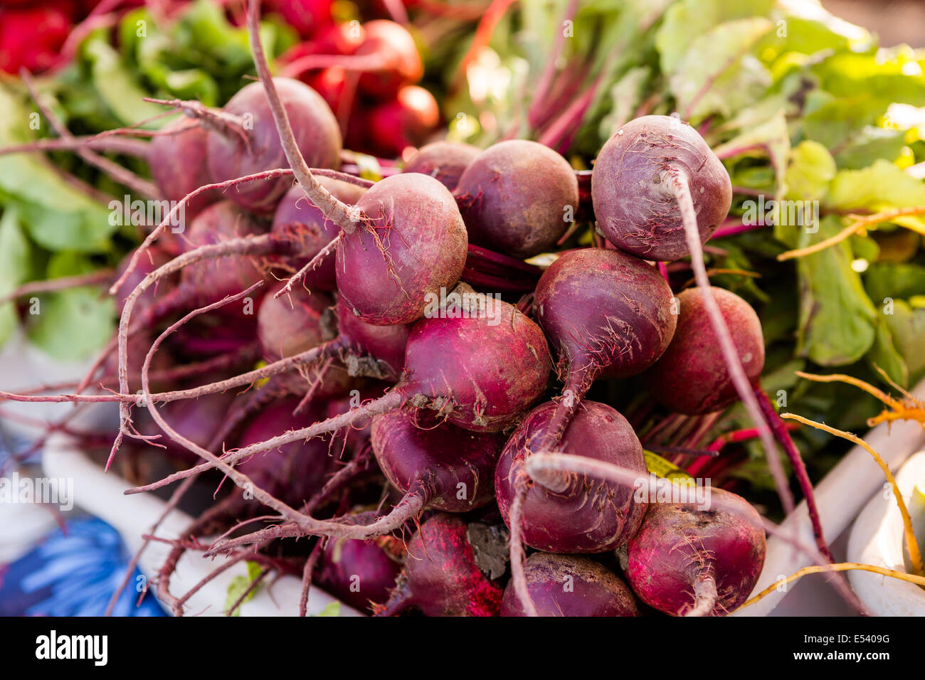 Fresh organic produce on sale at the local farmers market Stock Photo ...