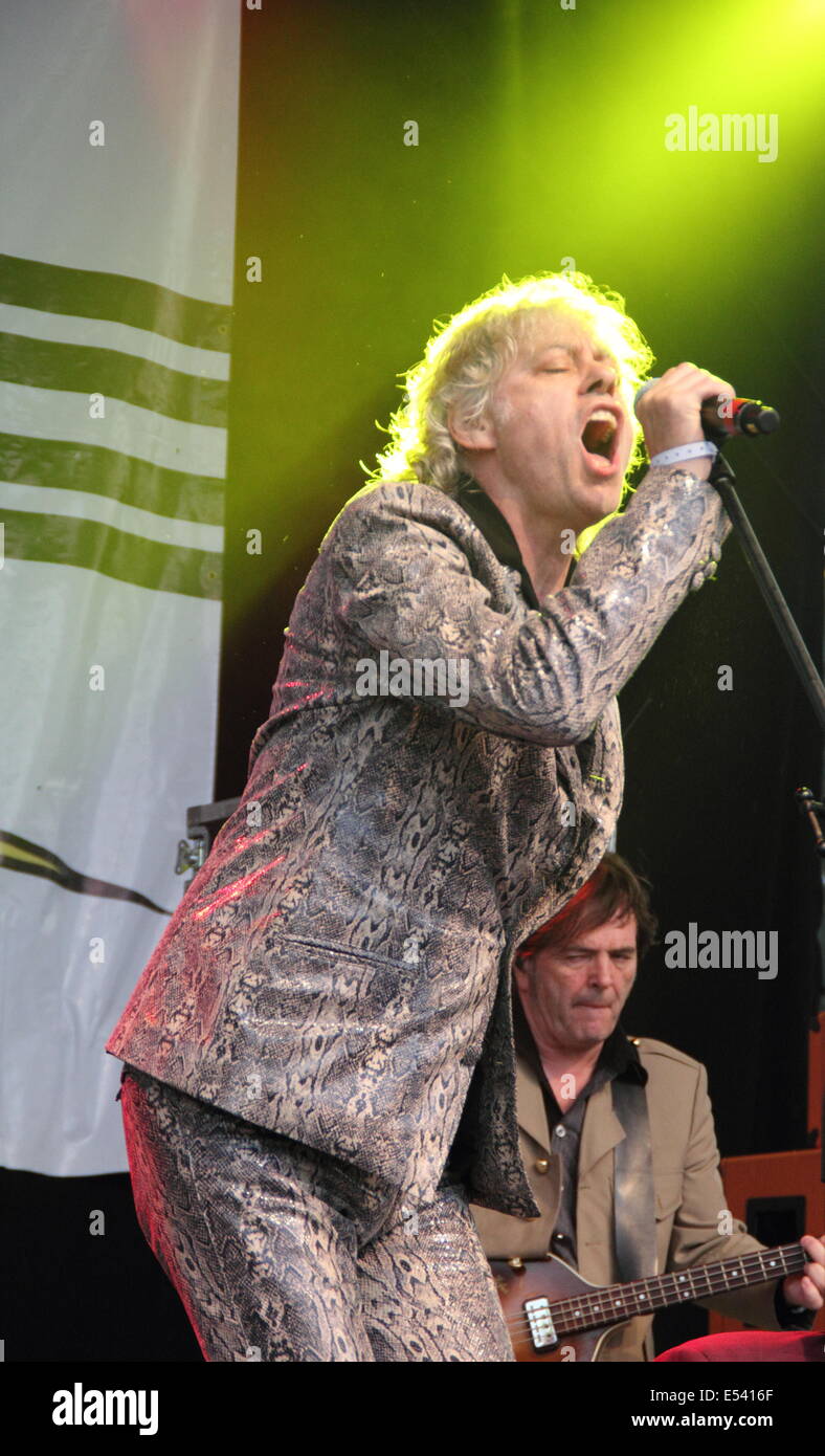 Nottingham, East Midlands, UK.  19th July 2014.  Sir Bob Geldof of The Boomtown Rats performs at Splendour Festival 2014 in the grounds of Nottingham's Wollaton Hall. Stock Photo