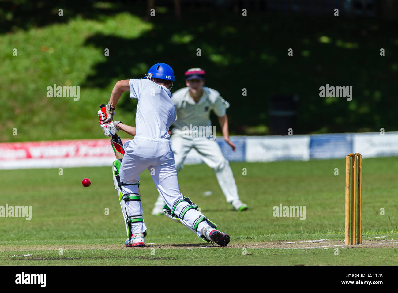 Cricket game high schools teenagers bat and ball action Stock Photo Alamy