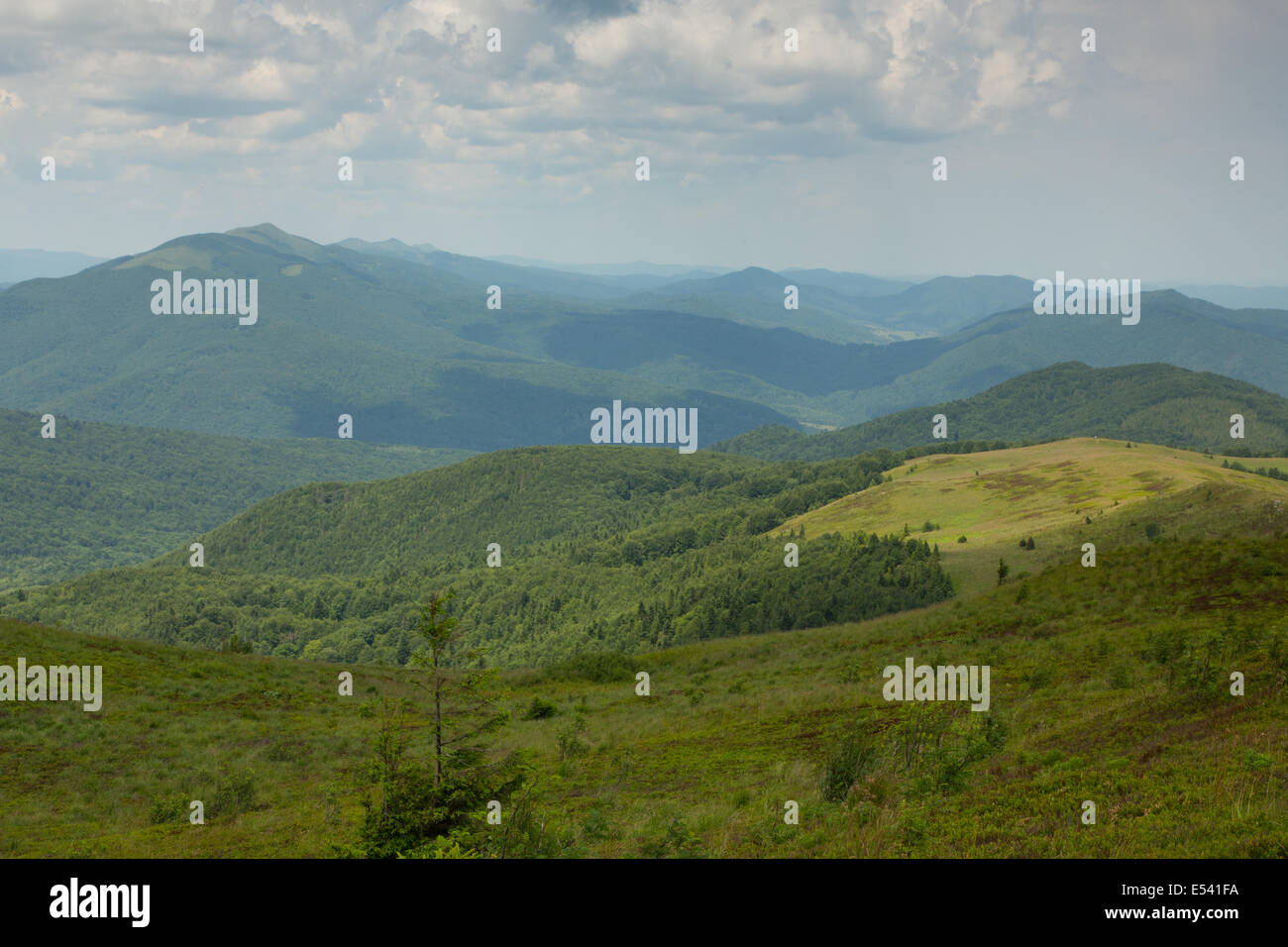 Summertime midday in Bieszczady Mountain range with view from Bukowe Berdo to Polonina Carynska Stock Photo