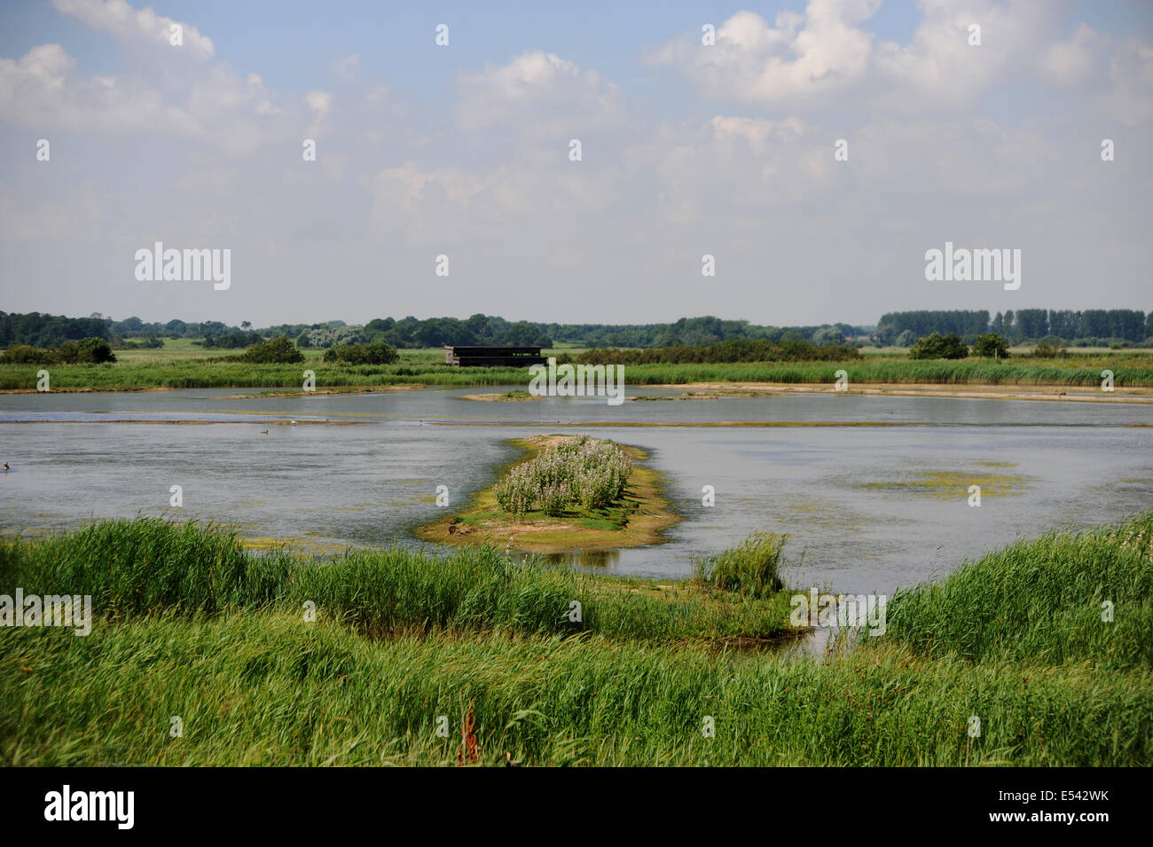 Minsmere RSPB Nature Reserve in Sufflok East Anglia UK Stock Photo