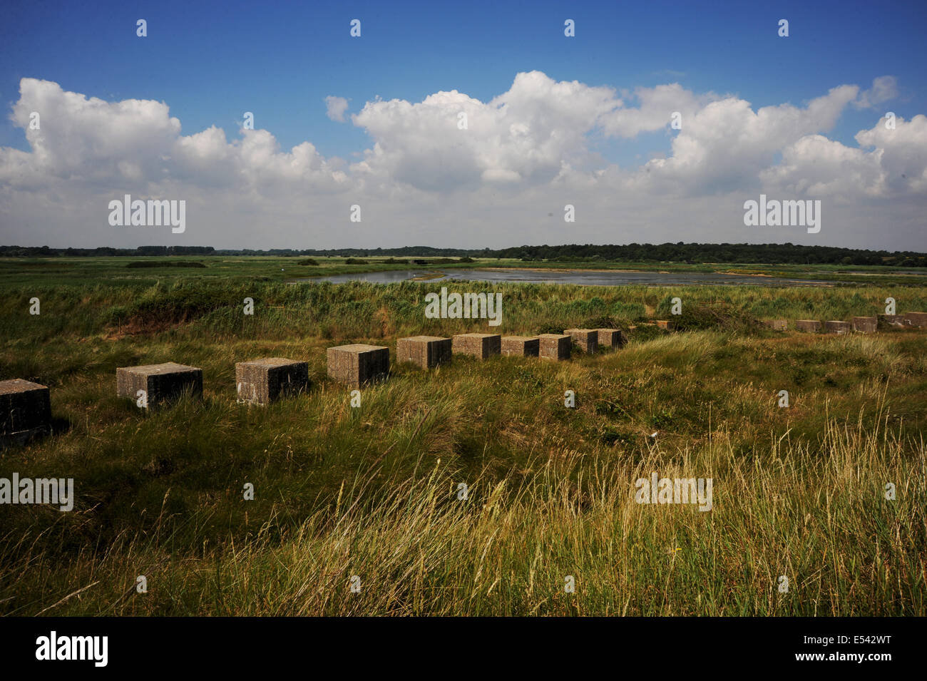 Minsmere RSPB Nature Reserve in Sufflok East Anglia UK Stock Photo