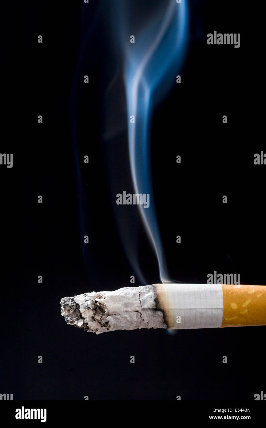 thick cigarette C.Gars Ltd Best Gauge Cuban Smokes Sampler and protective design in black or silver for everyday use or travel Royale - Smoke thick, vibe