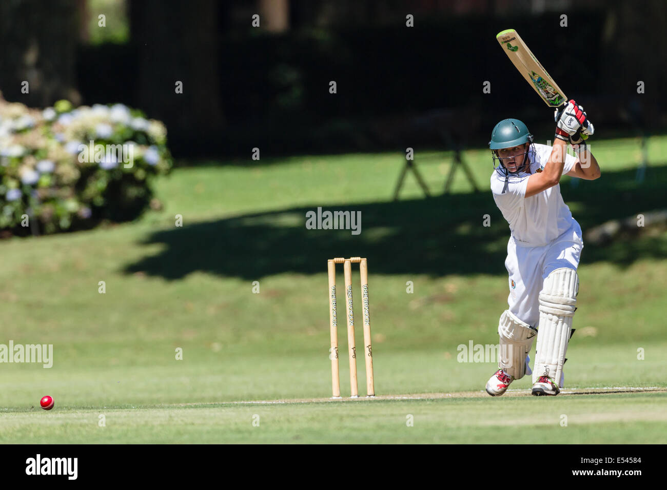 Cricket players in action hires stock photography and images Alamy