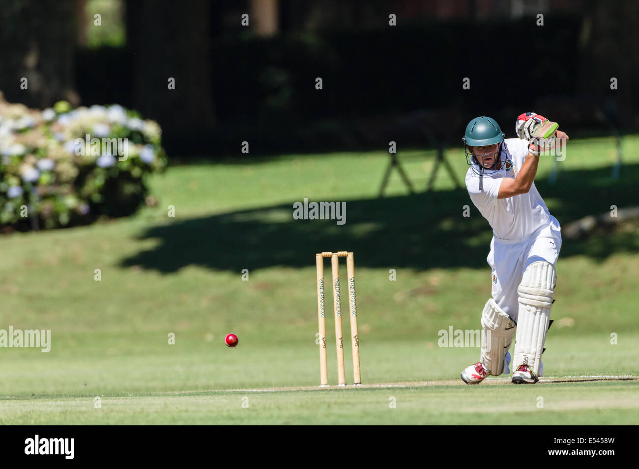 Cricket game action batsman strikes ball in high schools 1st team game