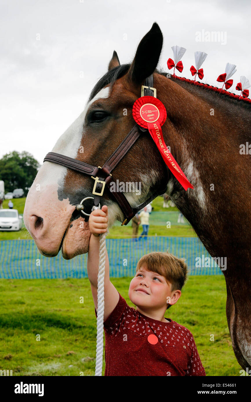 Thoroughbred horse owner hires stock photography and images Alamy