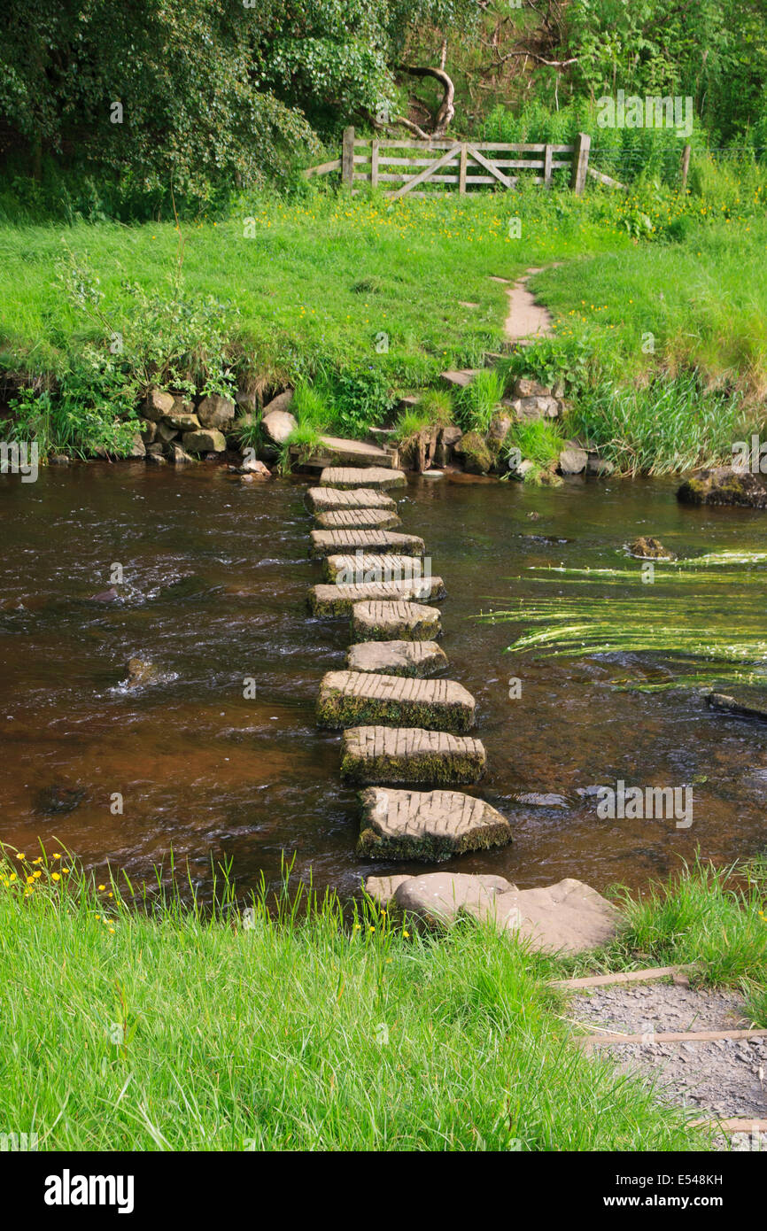 Stepping stones over the river Wansbeck Northumberland UK Stock Photo