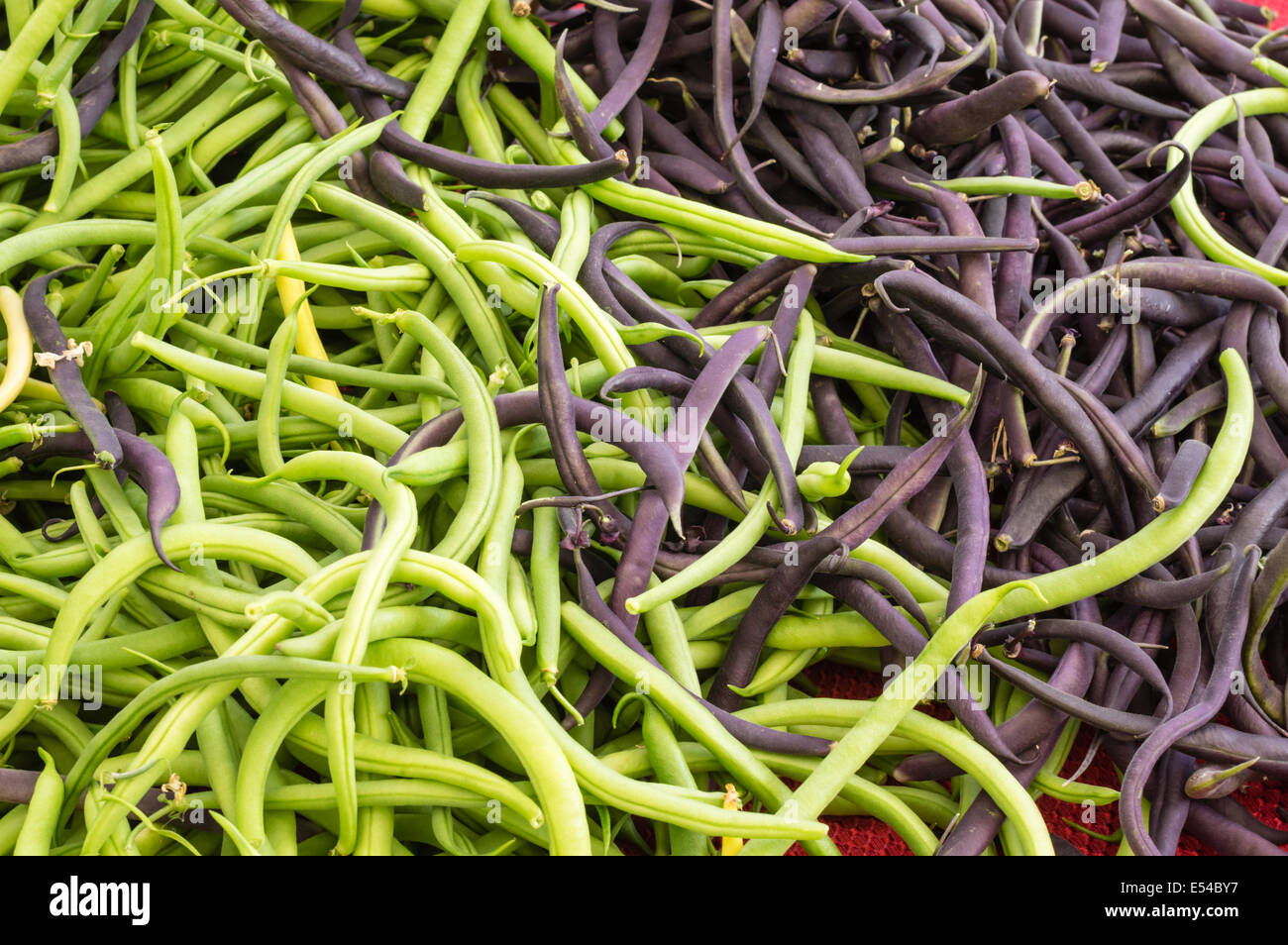 Fresh picked green and purple beans at the farmers market Stock Photo
