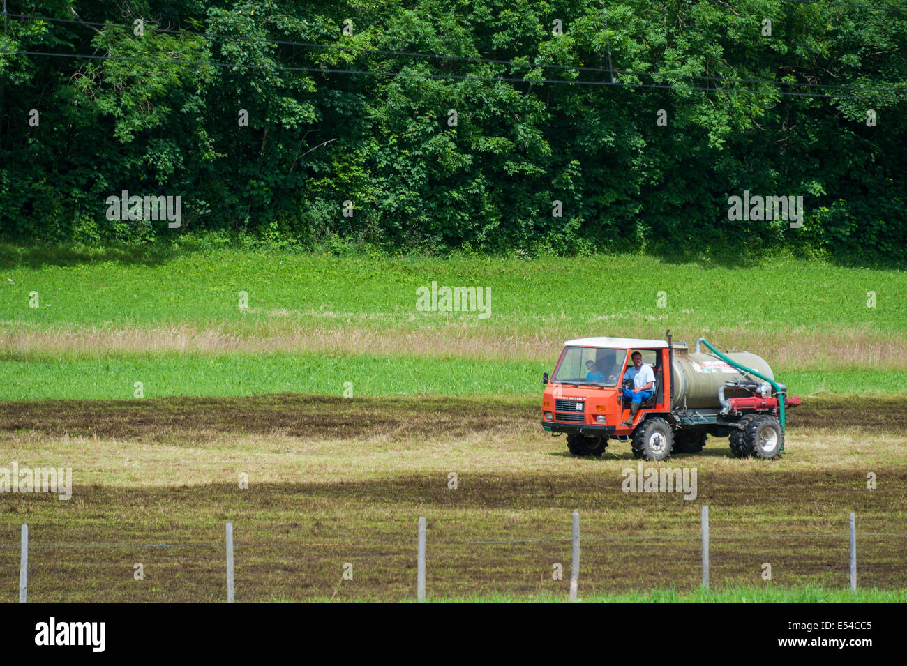 A Swiss farmer spreading muck on his hayfield. Stock Photo
