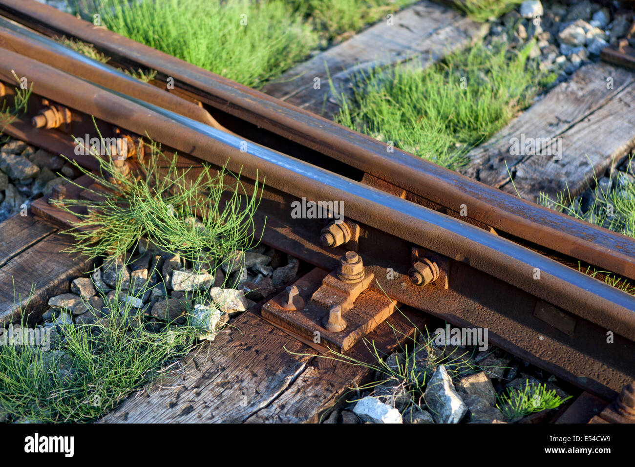Railroad track wooden sleepers Czech Stock Photo
