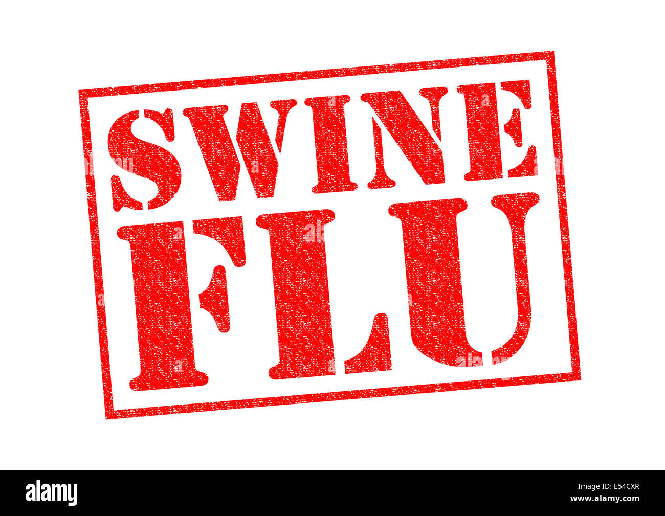 SWINE FLU red Rubber Stamp over a white background. Stock Photo