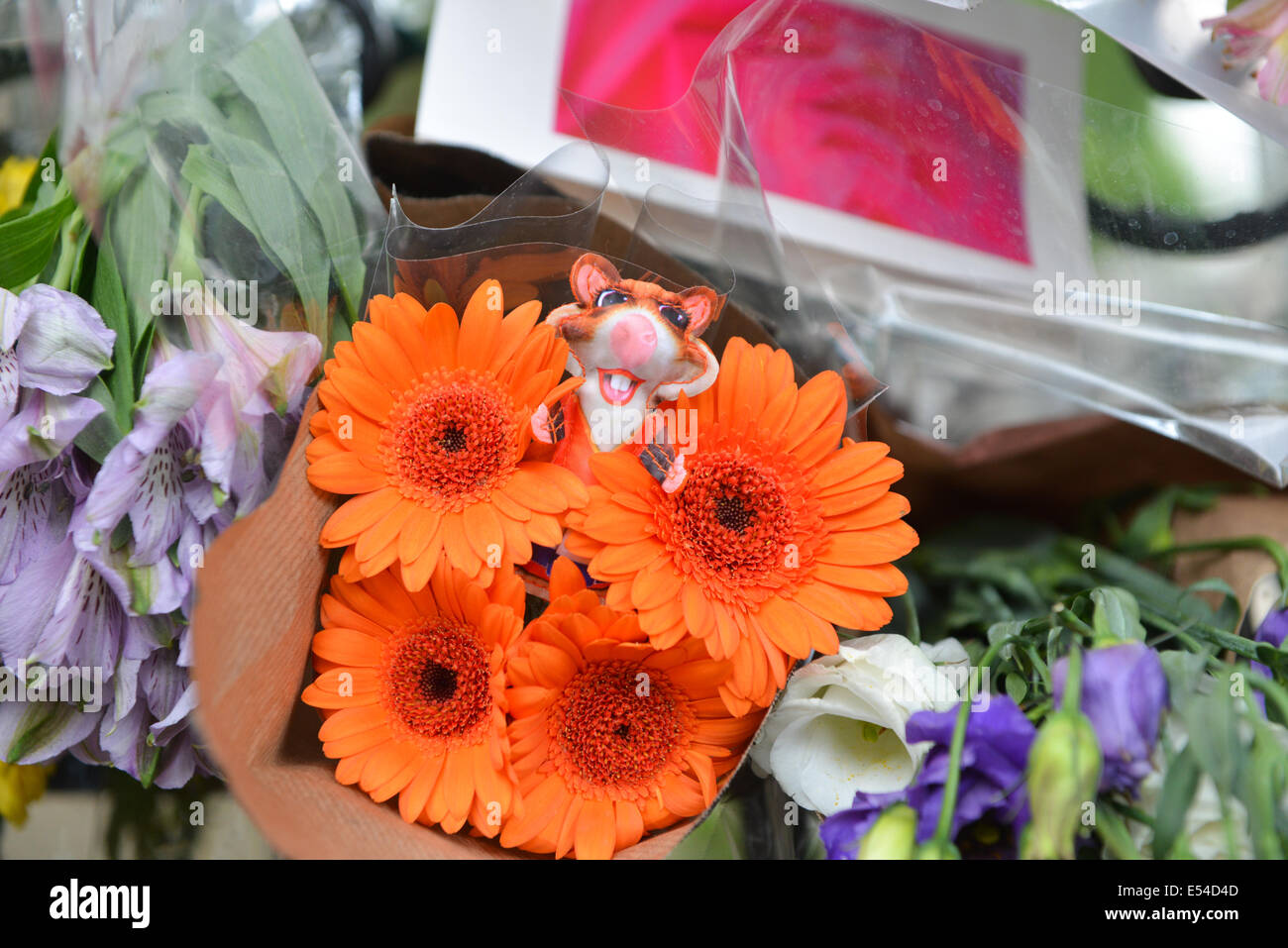 Hyde Park Gate, London, UK. Cards and flowers left outside the gates of the Dutch Embassy in London as a mark of respect for those who died on the plane in Ukraine. Credit:  Matthew Chattle/Alamy Live News Stock Photo