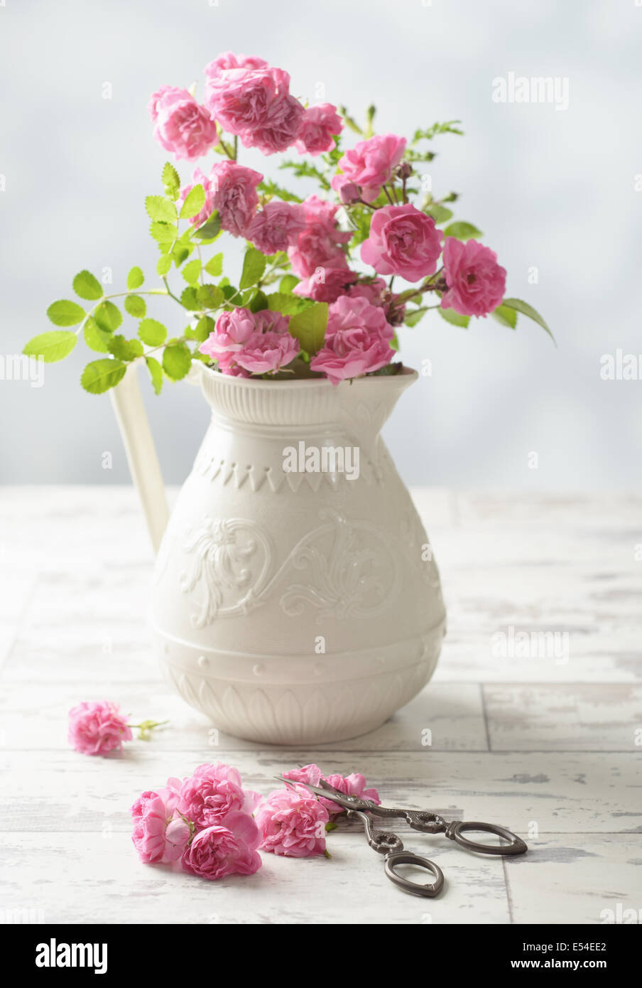 Cutting roses from the garden and arranging in antique vase focus on