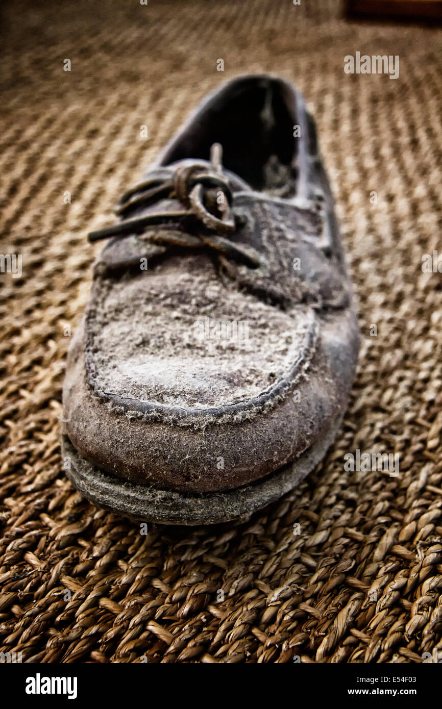 Pair of old leather shoe covered in dust and cobwebs Stock Photo Alamy