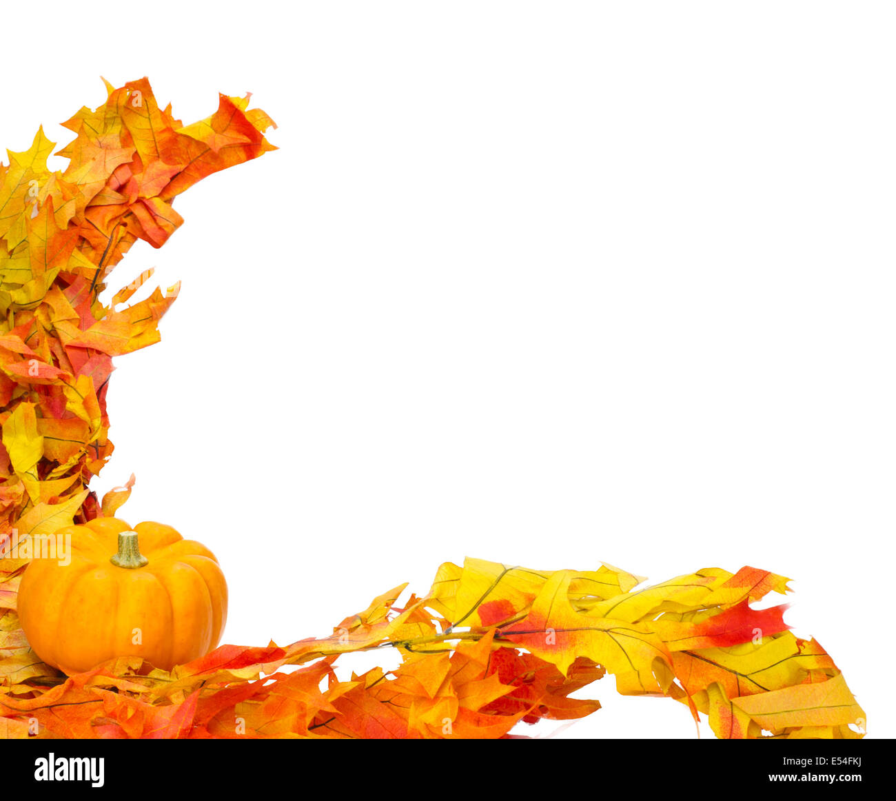 Corner border with small pumpkins on colorful leaves Stock Photo - Alamy