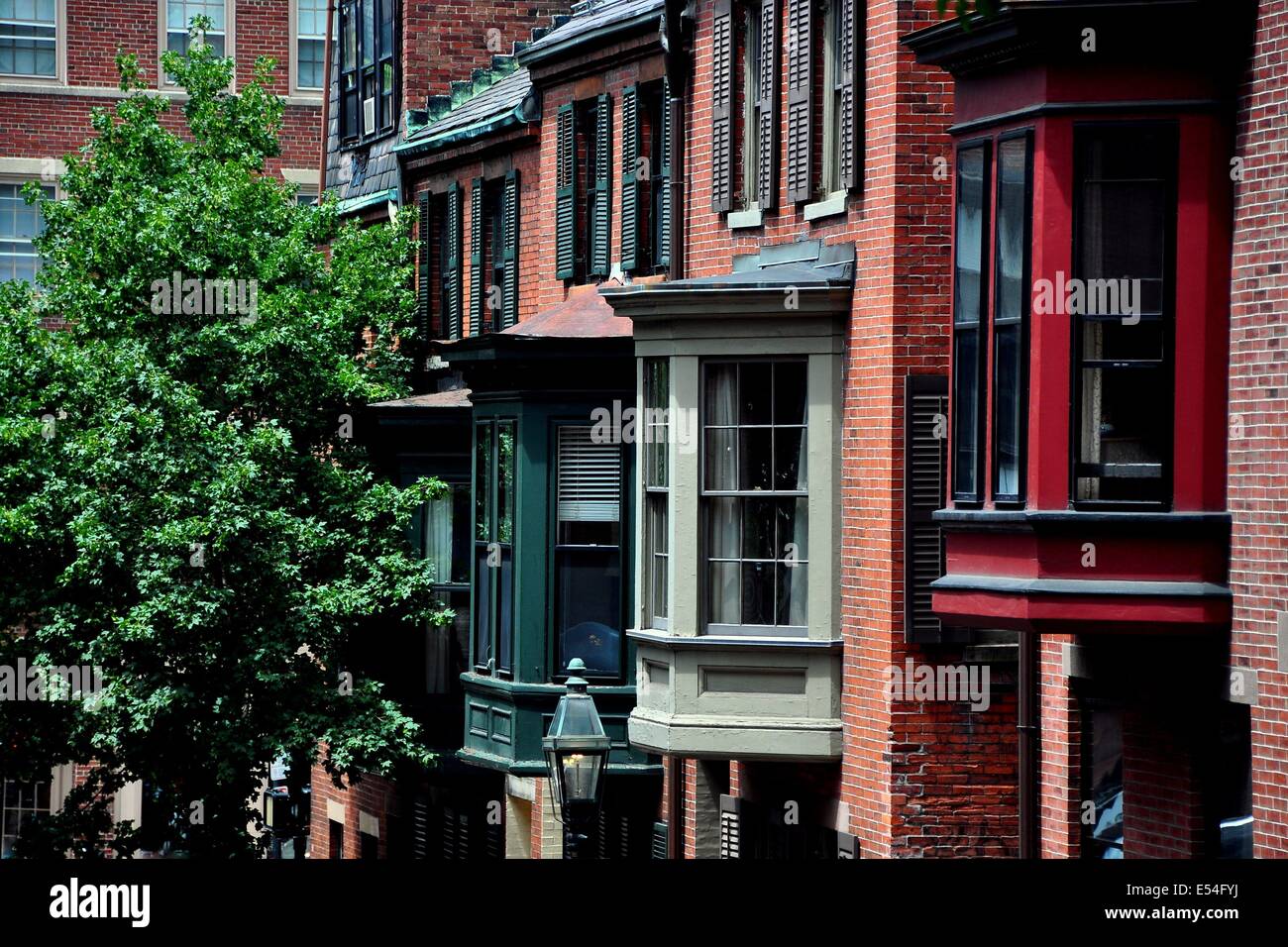 Casas De Cidade Em Beacon Hill Foto de Stock - Imagem de flores, natalia:  42799246