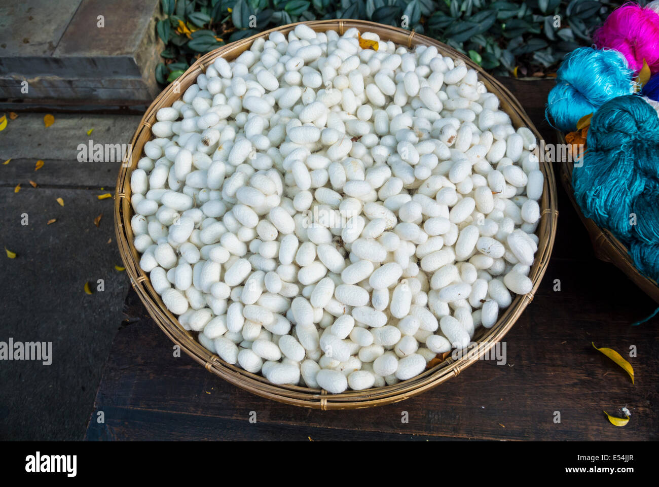 white Silk cocoons in a basket Stock Photo