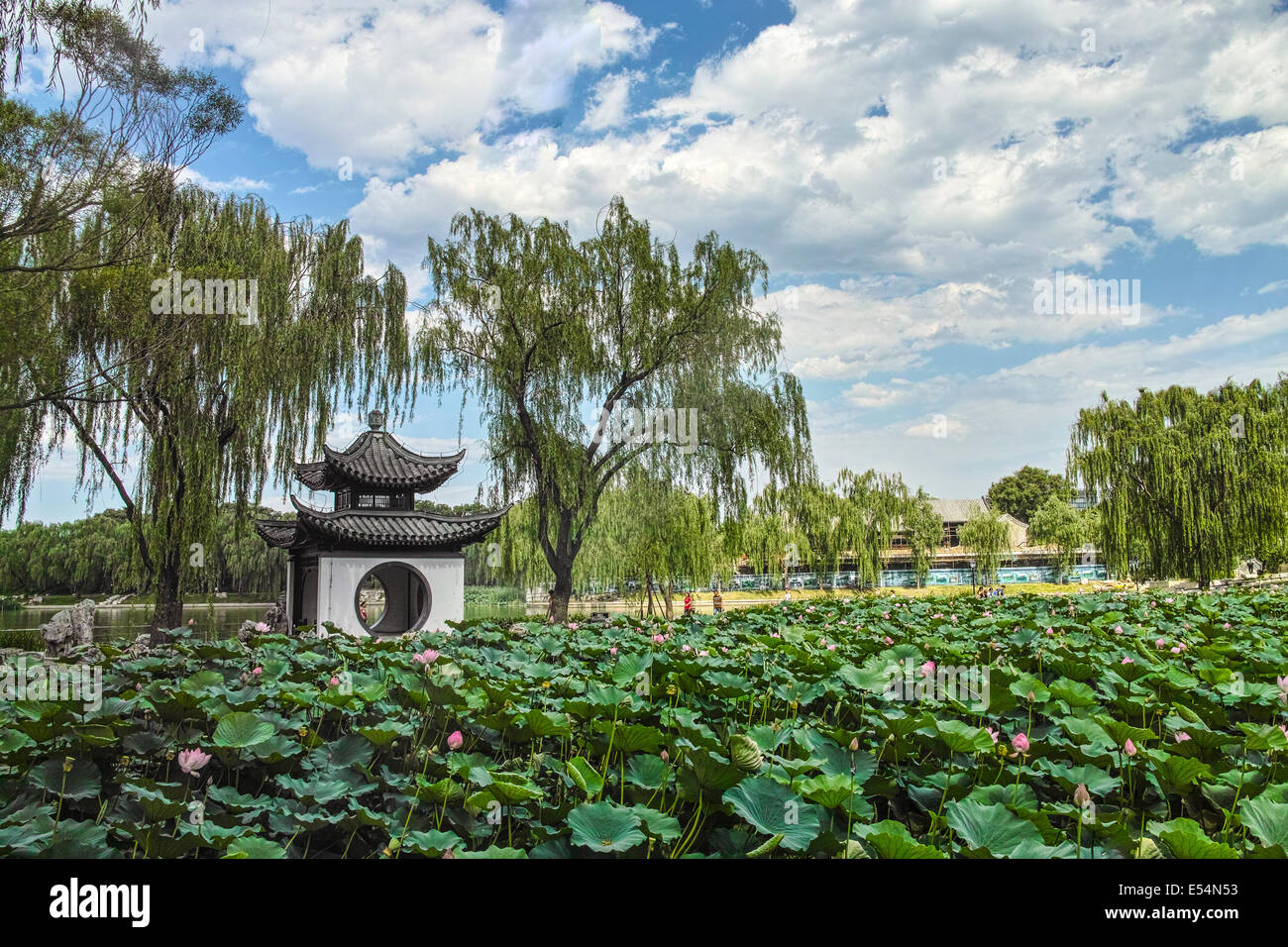 Beautiful chinese garden pond hi-res stock photography and images - Alamy