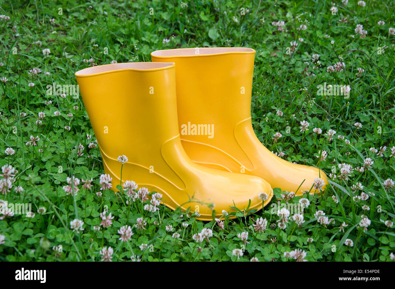 Yellow boots hires stock photography and images Alamy