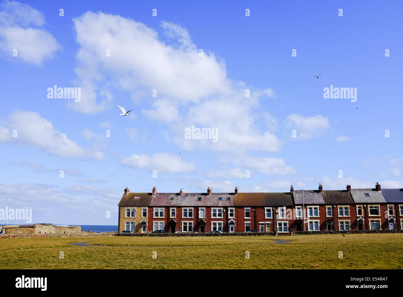 Seaton sluice hires stock photography and images Alamy