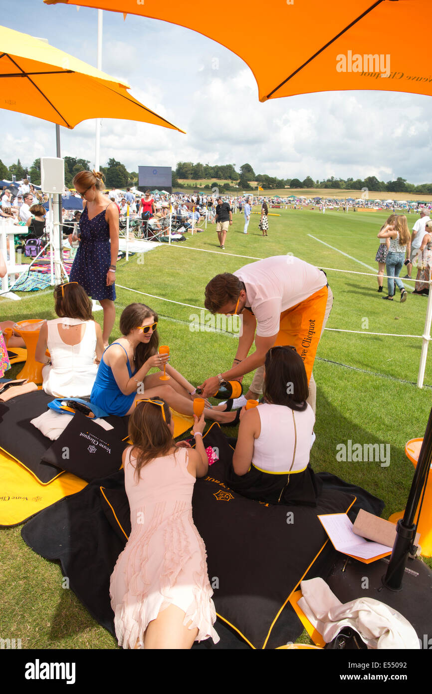 Veuve Clicquot Gold Cup, British Open Polo Championship, Cowdray Park Polo Club, Cowdray Park, Midhurst, West Sussex, England UK Stock Photo