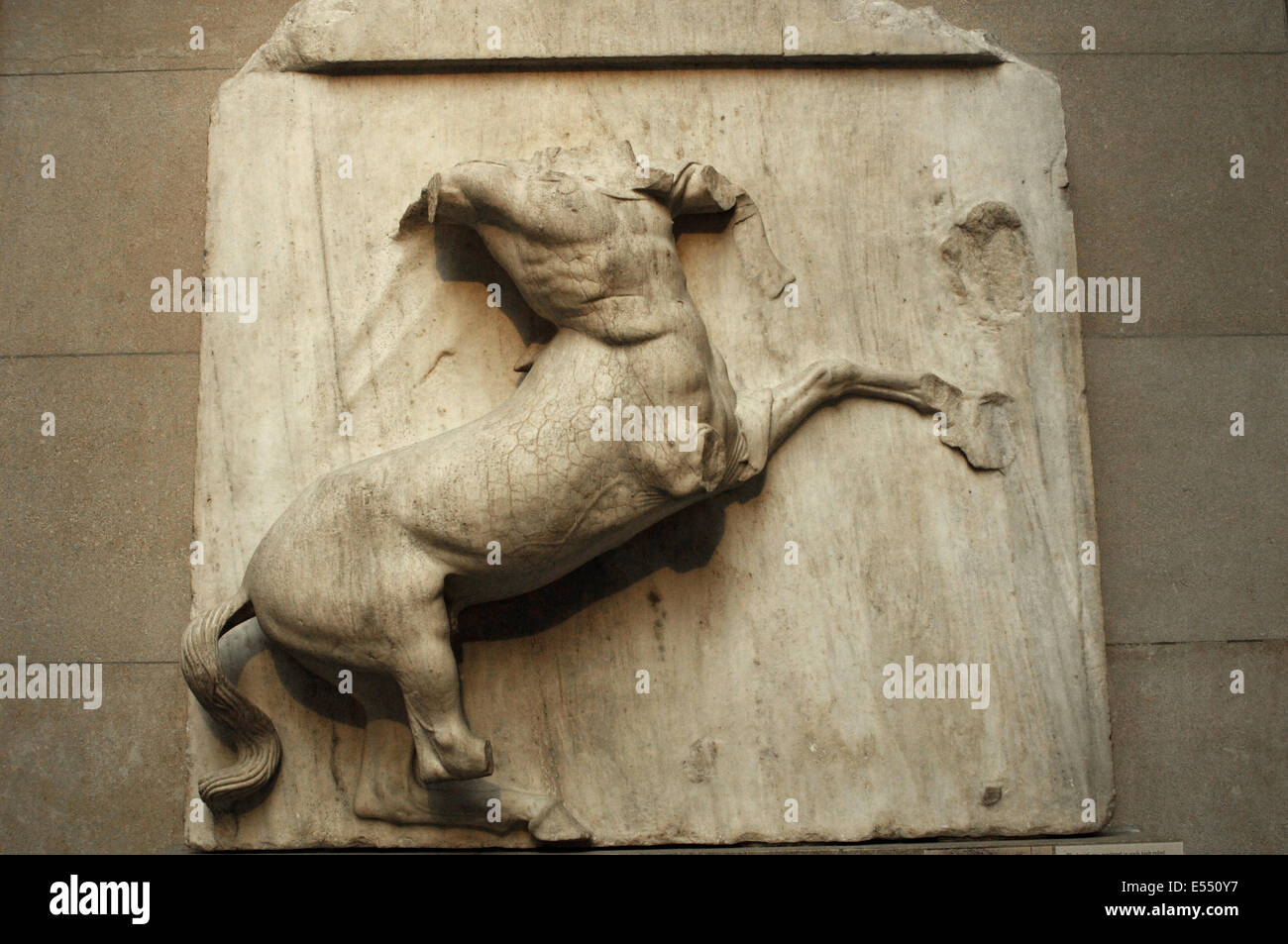 Metope V from the Parthenon marbles depicting part of the battle between the Centaurs and the Lapiths. Centuur. 5th century BC. Stock Photo