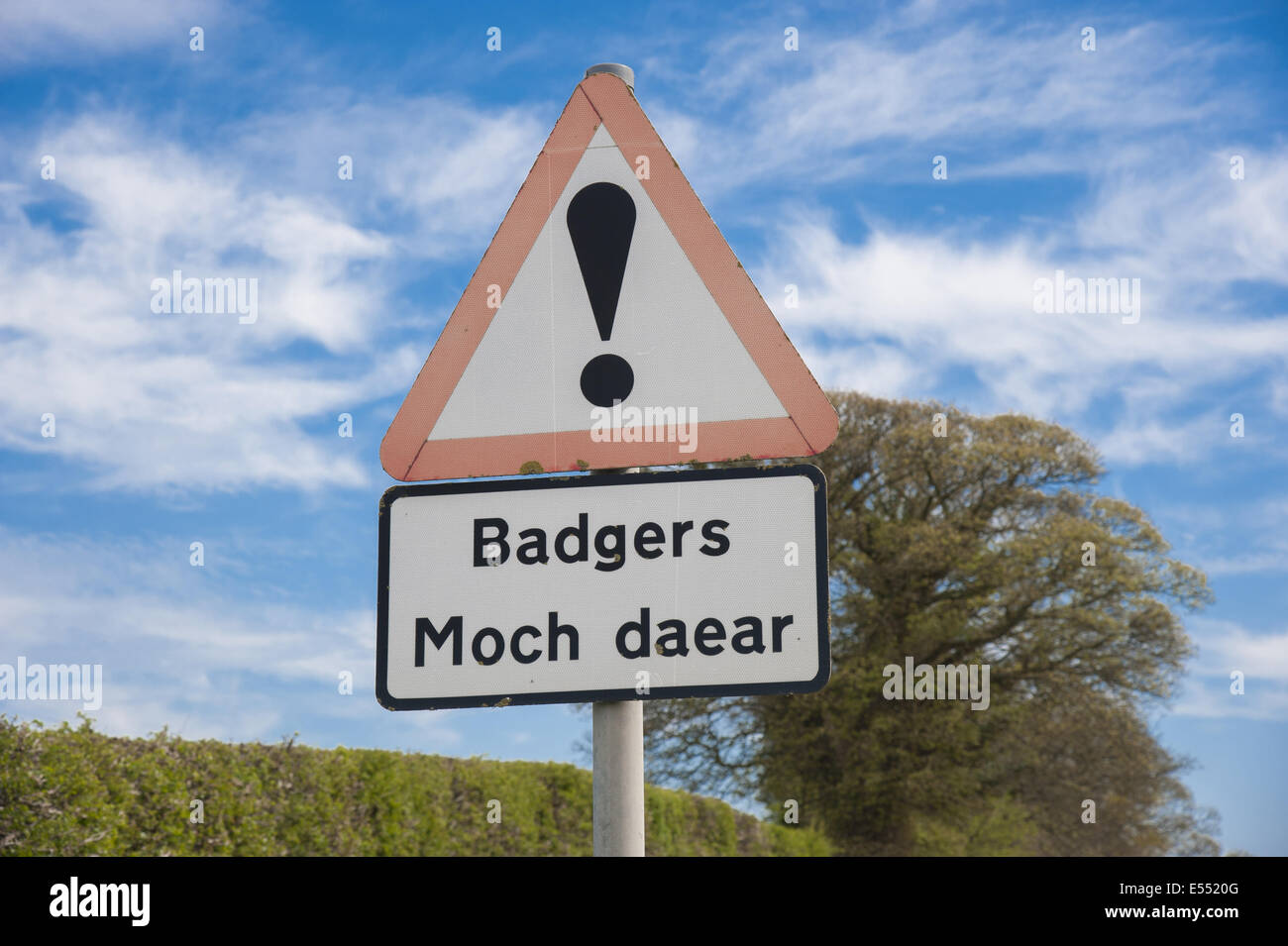 Badger crossing sign warning hires stock photography and images Alamy