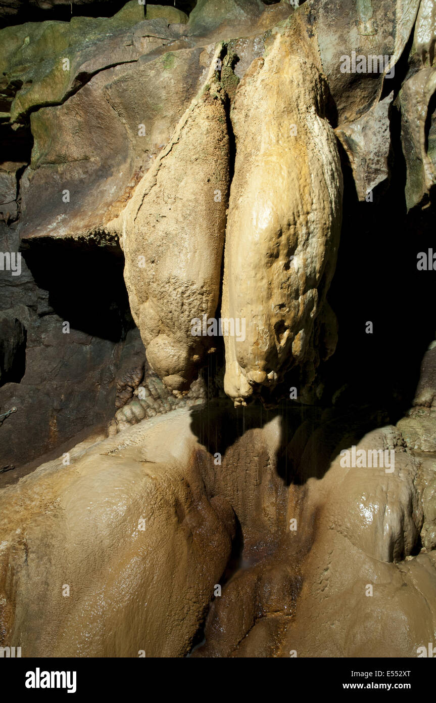 Limestone rock formation known as 'Queen Victoria's Bloomers' in cave, Ingleborough Cave, Yorkshire Dales N.P., North Yorkshire, England, March Stock Photo